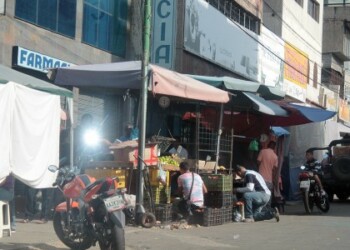 Ahora predominan los puestos de frutas, verduras y hortalizas