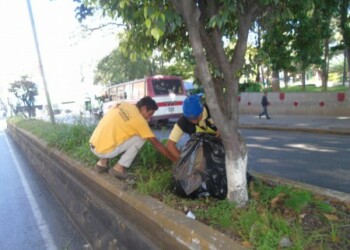 Labor que corresponde a la alcaldía es realizada por la fundación.