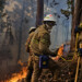 Incendios en Portugal y
Francia están bajo control