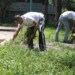 Este sábado en la mañana el programa visitó la urbanización Los Nuevos Teques