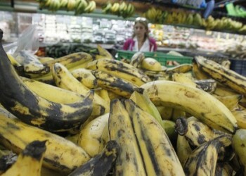 Hábitos de consumo siguen cambiando día tras día