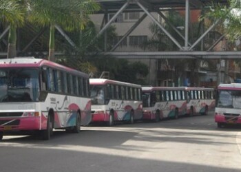Usuarios y transportistas son la sopita de los malandros