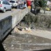 Aguas servidas “recorren” la vía principal