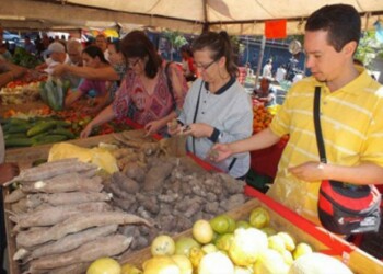 El casabe también estuvo entre las alternativas mencionadas por los consultados a la hora de sustituir el pan y la arepa