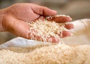 Venden arroz empaquetado sin marca ni registros