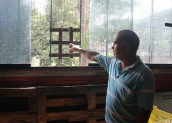 “Topos” abrieron boqueta en el salón de legumbres