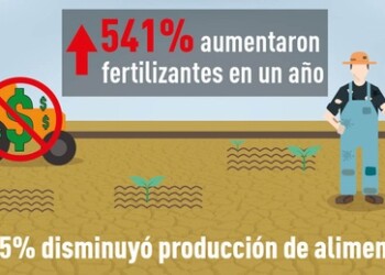 Se necesitarían más de mil millones de dólares para reimpulsar el sector