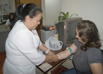 n buen plan alimenticio debe incluir ácidos grasos monoinsaturados, poliinsaturados, omega tres, vitamina E y fibras