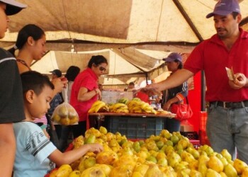 Un pan pequeño costara siete días de salario y un poco más