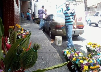 La escasez y los altos costos de los insumos atentan contra la producción que tiene lugar en los Altos Mirandinos