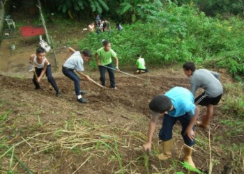 Los jóvenes en varias materias aprenden a sembrar, conocimiento muy útil en la situación actual del país