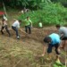 Los jóvenes en varias materias aprenden a sembrar, conocimiento muy útil en la situación actual del país