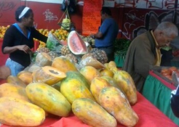 Ante la escasez, nutricionistas recomiendan consumir alimentos ricos en vitaminas como frutas y hortalizas