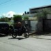 Informaciones preliminares apuntan que 11 sujetos armados irrumpieron en la quinta para robar y al ser descubiertos por el dueño lo mataron de múltiples tiros