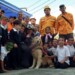 Diversas instituciones están desplegadas en los 21 municipios de Miranda para orientar a la población