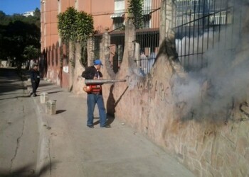 Al menos 572 desmalezamientos fueron realizados