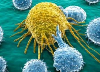 Se trata del gen CNNE2, que según la investigación que se ha desarrollado, es un biomarcador potencial para prevenir la resistencia al tratamiento