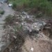 Acumulación de basura es uno de los principales dolores de cabeza