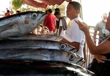 Los trabajadores accedieron a alrededor de dos mil kilos de pescados