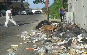 Canes rompen bolsas de basura y vecinos se quejan