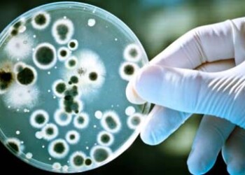 Infecciones aumentaron a 30% por falta de antibióticos y las medidas sanitarias que actualmente tienen los centros de salud.