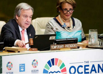 El alto funcionario internacional llamó a los Estados miembros del organismo a dialogar para definir un nuevo modelo de gobernanza de los océanos