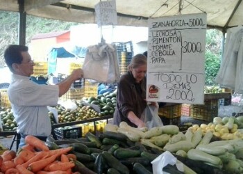 El kilo de papa está “por las nubes”