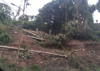 se trata de un terreno de más de 3 mil 400 metros que estarían “limpiando” para vender en parcelas