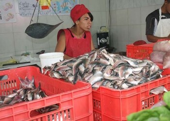 Kilo de carne de res es vendido en más de 17 mil Bs