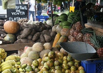 Tradición de sopa dominical se la llevó la inflación