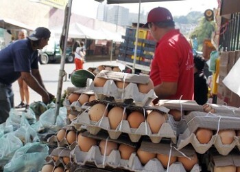 Semanalmente aumenta el precio de los huevos. Foto: Deisy Peña
