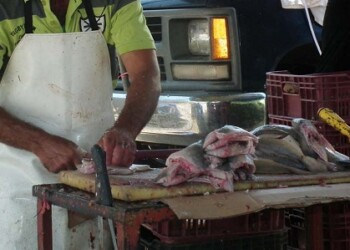 El pescado es una opción para comer. Foto: Irbel Useche