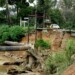 Muy deteriorado el puente  Aramburú. Foto: Deysi Peña