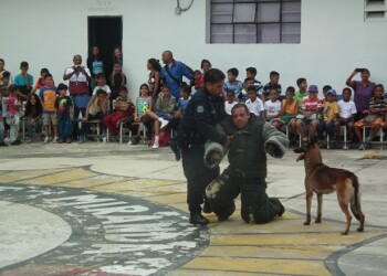 Los canes mostraron técnicas de obediencia, ataque y protección. FOTO: Irbel Useche