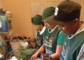 27 de cada 100 niños tienen problemas de alimentación