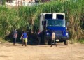 Cada tarde se repite la misma escena: niños rodean los camiones en busca de alimentos entre la basura.