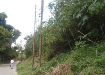 Roban aproximadamente 200 mts de cable de lineas telefonicas CANTV para vender el cobre dejando incomunidos seis sectores