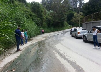 Urge desmalezamiento, bacheo y poda de árboles