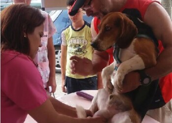 Jornada veterinaria a precios solidarios mañana en Montaña Alta