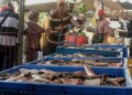 Supeintendencia de Precios Justos fijó este martes el valor del pescado, pollo, arroz, azúcar, café y maíz pilado