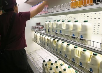 Precio de la leche aumenta semanalmente. Foto: DM