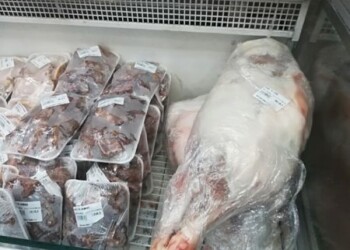 Incomprable el pernil para la mayoría de la población
