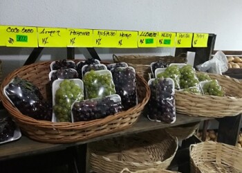 Costoso el kilo de la tradicional uva para recibir el año. Foto: DM
