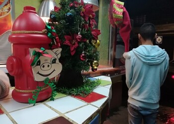 Vacíos lucen los cochinitos. Foto: DM