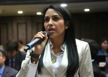 Diputada Delsa Solorzano
