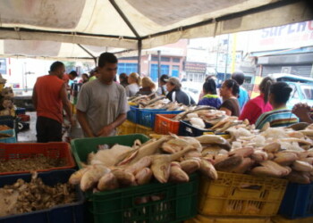 Ni sardinas se consiguen en Los Teques