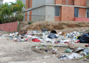 Activan cronogramas de recolección tras 
colapsar El Limoncito