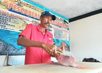 Temporadistas se quejan de altos costos del pescado en la costa mirandina