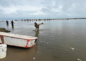 Cientos abarrotan laguna en Tacarigua con la esperanza de pescar para comer. Foto: Daniel Murolo