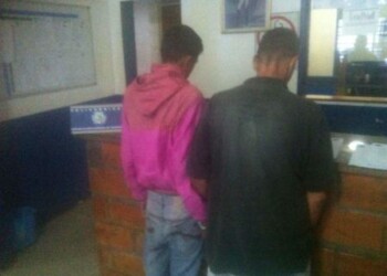 Apresados chofer y colector de bus por lesionar a sexagenaria en Carrizal